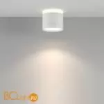 Спот Maytoni Pauline C120CL-GX53-W - Фото 2