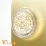 Настенный светильник Maytoni Pharao new MOD361WL-L20BS3K - Фото 0