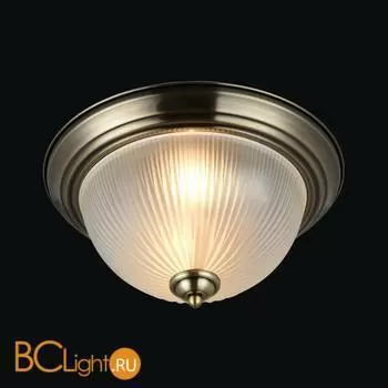 Потолочный светильник Maytoni Planum CL913-02-R