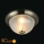 Потолочный светильник Maytoni Planum CL913-02-R