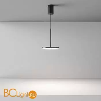 Подвесной светильник Maytoni Plato new P076PL-L12W4K-B - Фото 4