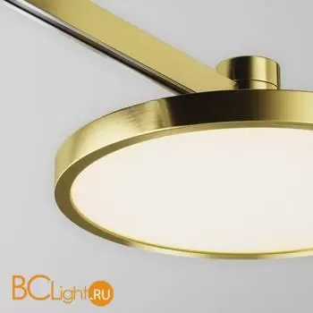 Трековый светильник Maytoni Plato new TR153-1-10W3K-BS - Фото 0