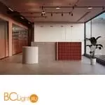 Трековый светильник Maytoni Plato new TR153-1-10W3K-B - Фото 1