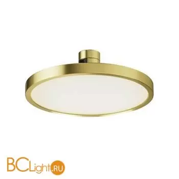 Трековый светильник Maytoni Plato TR153-1-10W4K-BS