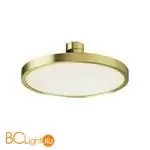 Трековый светильник Maytoni Plato TR153-1-10W4K-BS