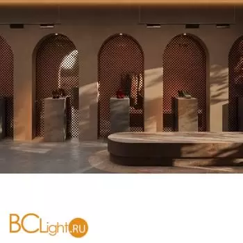 Трековый светильник Maytoni Points Rot TR194-1-12W4K-M-B - Фото 1