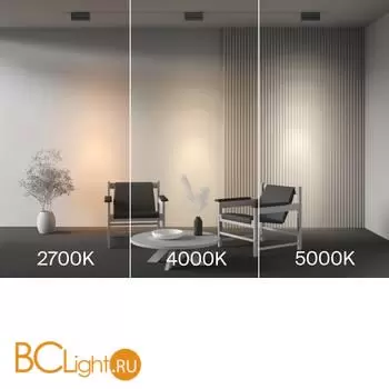 Трековый светильник Maytoni Points Rot TR224-1-12WCCT-M-B - Фото 3