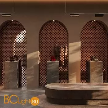 Трековый светильник Maytoni Points Rot TR194-1-12W2.7K-M-B - Фото 0