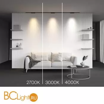 Трековый светильник Maytoni Points new TR193-1-10W2.7K-M-B - Фото 1