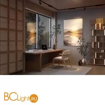 Трековый светильник Maytoni Points new TR195-3-10W2.7K-M-B - Фото 1