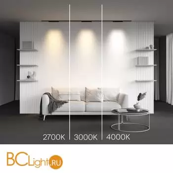 Трековый светильник Maytoni Points new TR193-1-15W2.7K-M-B - Фото 1