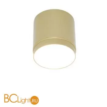 Потолочный светильник Maytoni Polar C088CL-GX53-MG