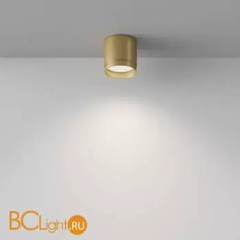 Потолочный светильник Maytoni Polar C088CL-GX53-MG - Фото 3