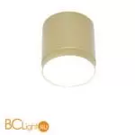 Потолочный светильник Maytoni Polar C088CL-GX53-MG