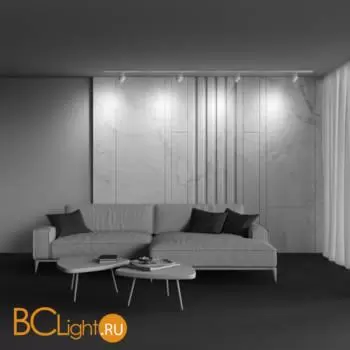 Трековый светильник Maytoni Polar TR088-1-GX53-W - Фото 5