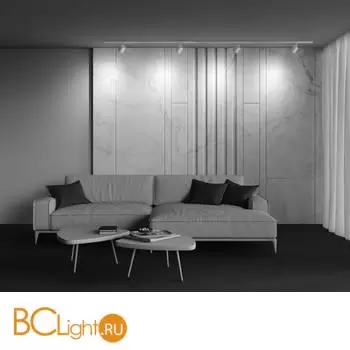 Трековый светильник Maytoni Polar TR088-1-GX53-W - Фото 8