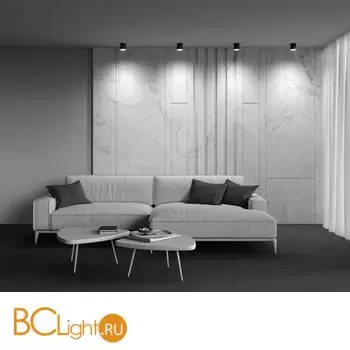 Потолочный светильник Maytoni Polar C088CL-GX53-B - Фото 7