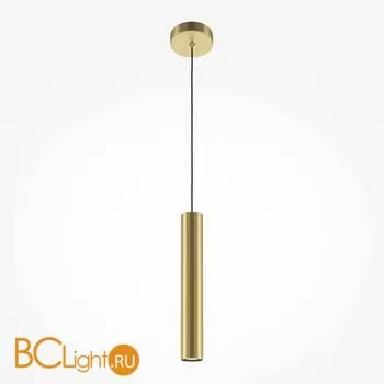 Подвесной светильник Maytoni Pro Focus MOD161PL-01G1 - Фото 0