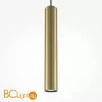 Подвесной светильник Maytoni Pro Focus MOD161PL-01G1 - Фото 1