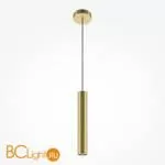 Подвесной светильник Maytoni Pro Focus MOD161PL-01G1 - Фото 0