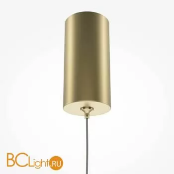 Подвесной светильник Maytoni Pro Shade MOD157PL-L6G4K1 - Фото 6