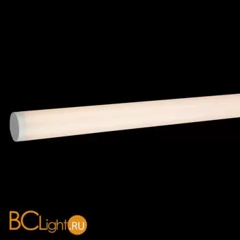 Подвесной светильник Maytoni Ray P021PL-L10W - Фото 1