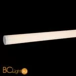 Подвесной светильник Maytoni Ray P021PL-L10W - Фото 1