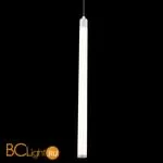 Подвесной светильник Maytoni Ray P021PL-L10W