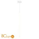 Подвесной светильник Maytoni Ray P021PL-L20W3K - Фото 0