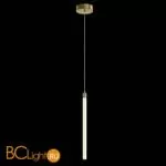 Подвесной светильник Maytoni Ray P021PL-L10MG3K