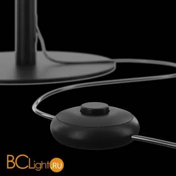 Напольный светильник Maytoni Ray Z012FL-L18B3K - Фото 1