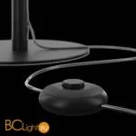 Напольный светильник Maytoni Ray Z012FL-L18B3K - Фото 1