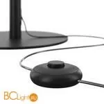 Напольный светильник Maytoni Ray Z012FL-L18B3K - Фото 0