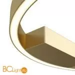 Потолочный светильник Maytoni Rim MOD058CL-L25BS4K - Фото 2