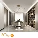 Крепление для подвесных светильников Maytoni Rim MOD058A-02BS - Фото 0