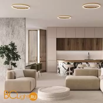 Потолочный светильник Maytoni Rim MOD058CL-L35BSK - Фото 4