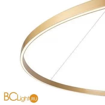 Подвесной светильник Maytoni Rim MOD058PL-L65BSK - Фото 0