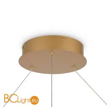 Подвесной светильник Maytoni Rim MOD058PL-L65BSK - Фото 3