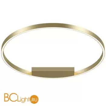 Потолочный светильник Maytoni Rim MOD058CL-L50BSK