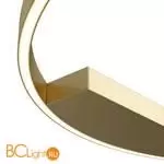 Потолочный светильник Maytoni Rim MOD058CL-L50BSK - Фото 0