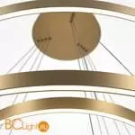 Подвесной светильник Maytoni Rim MOD058PL-L174BSK - Фото 5