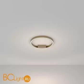 Потолочный светильник Maytoni Rim MOD058CL-L25BSK - Фото 2