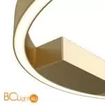 Потолочный светильник Maytoni Rim MOD058CL-L25BSK - Фото 0