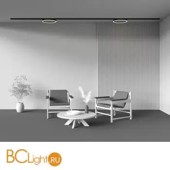 Трековый светильник Maytoni Rim TR227-2-24W3K-B - Фото 8