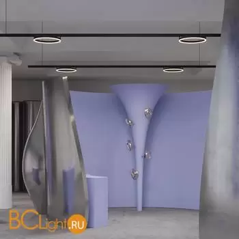 Трековый светильник Maytoni Rim TR227-2-24W3K-B - Фото 1