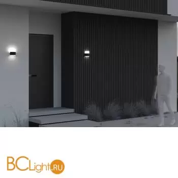 Бра Maytoni Rom O442WL-L12GF3K1 - Фото 3