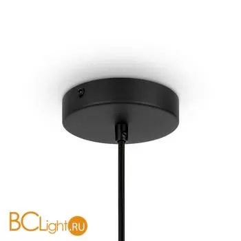 Подвесной светильник Maytoni Roots MOD191PL-01W - Фото 2