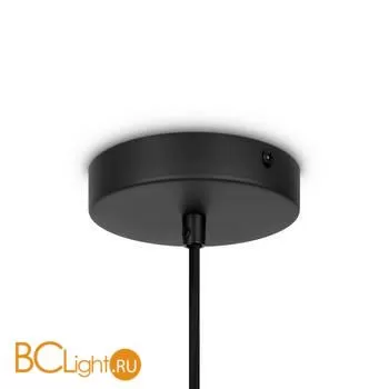 Подвесной светильник Maytoni Roots MOD192PL-01W - Фото 2