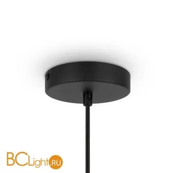 Подвесной светильник Maytoni Roots MOD197PL-01W - Фото 2