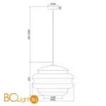 Подвесной светильник Maytoni Ruche P078PL-01SG - Фото 1